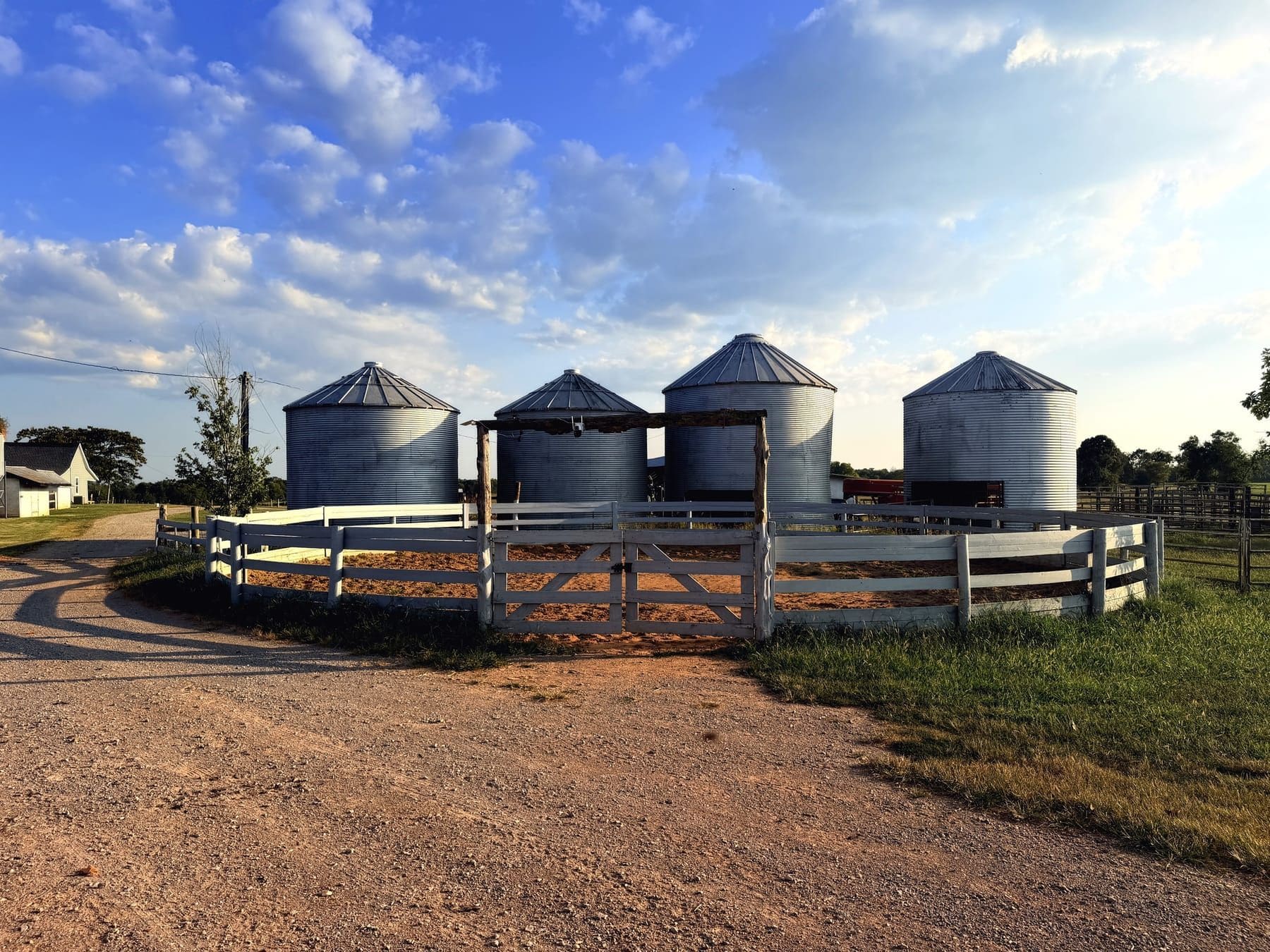 Four grain silos behind a white board fence at a bend in a dirt drive, in evening light